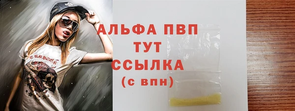 стаф Алзамай