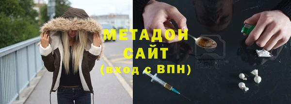 стаф Алзамай