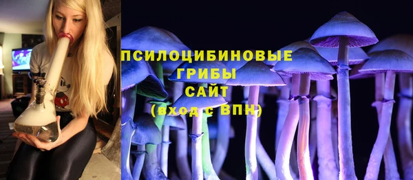 стаф Алзамай