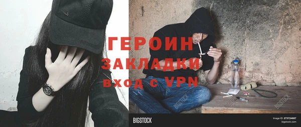 стаф Алзамай