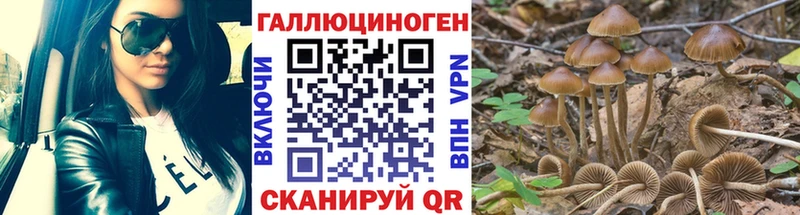 MEGA tor дарк нет как зайти Псилоцибиновые грибы Psilocybe Тверь